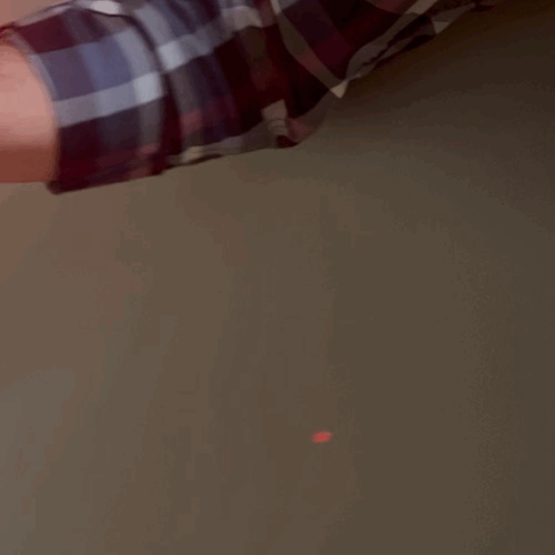 WRIST Light Animated